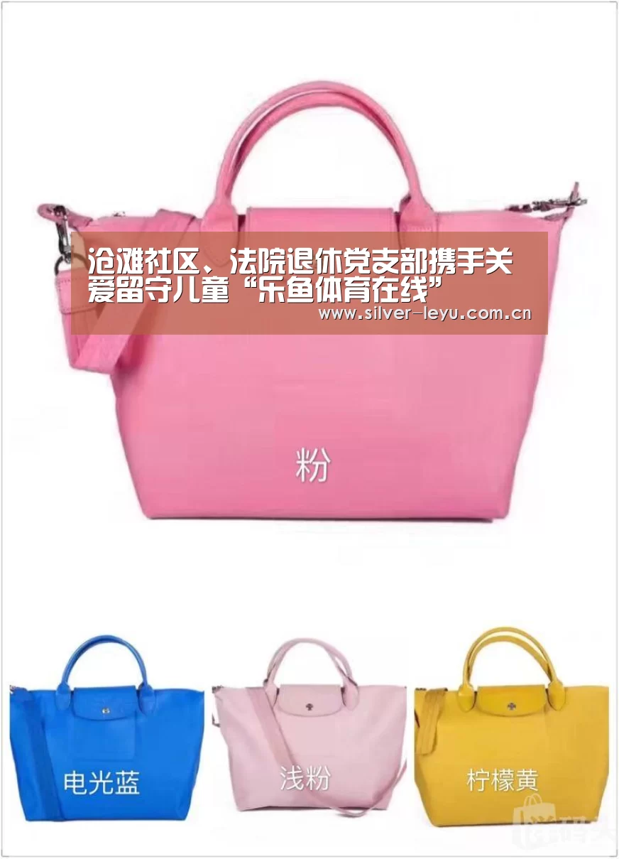 沧滩社区、法院退休党支部携手关爱留守儿童“乐鱼体育在线”