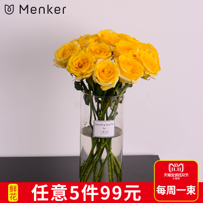 乐鱼