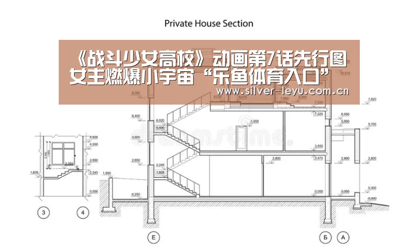 乐鱼体育在线